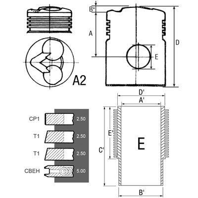 /images/products/10783/21094