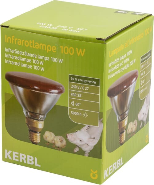 /images/products/12877/31944