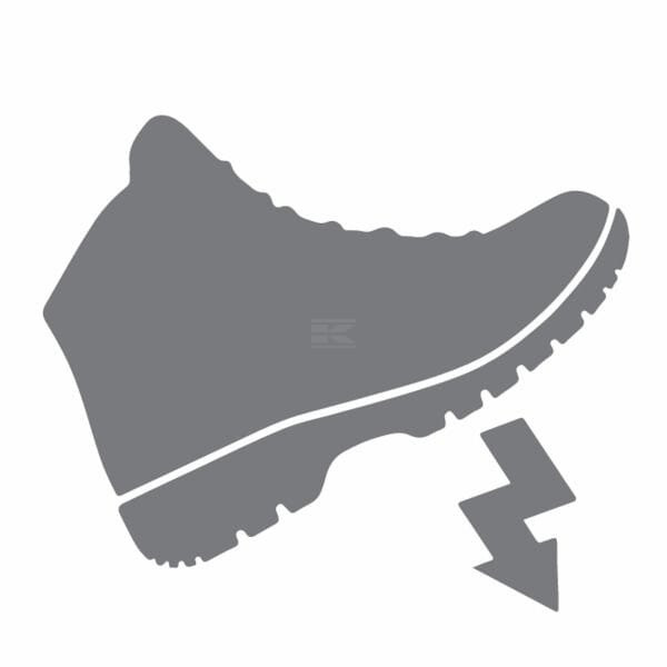 /images/products/12106/29919