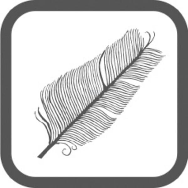 /images/products/12080/29754