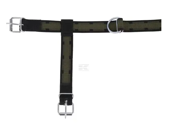 CAPASTRU 803110KR (2).webp