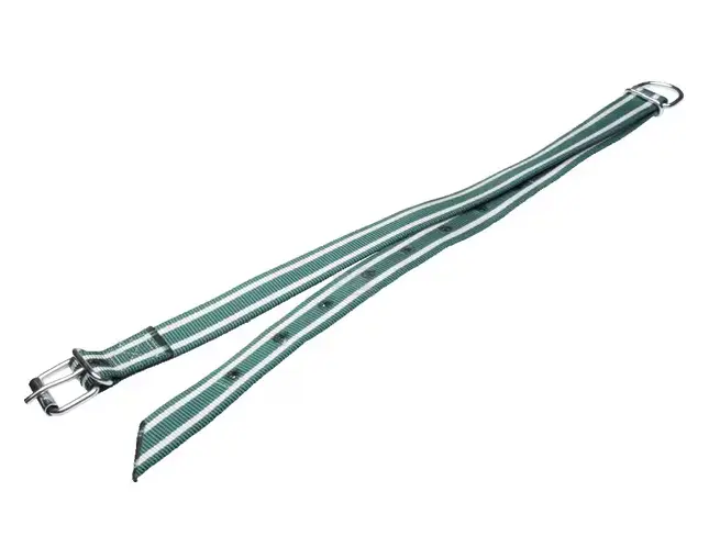 Screenshot 2026-04-08 160522.webp