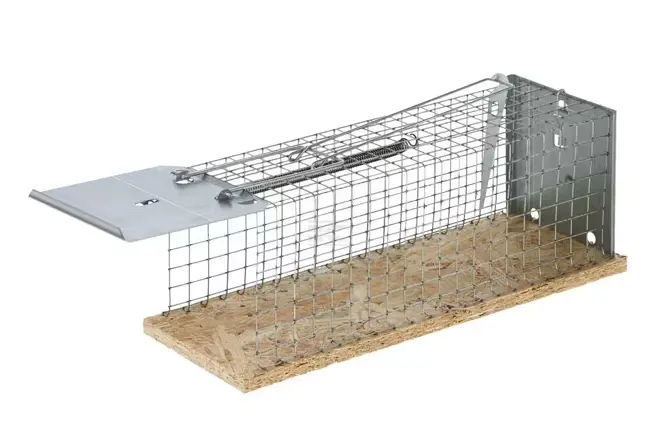 Screenshot 2026-04-23 085732.webp