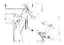 1120340733.webp
