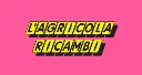 22453.webp