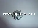 10559.webp