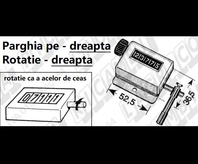 25604.webp