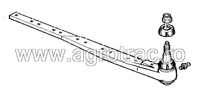 15519.webp