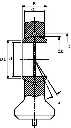 GK25DO2.webp