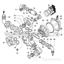 22273.webp