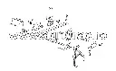 13403.webp