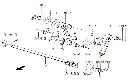 6626244.webp