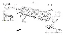 646552.webp