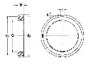 bearring_an_td.webp