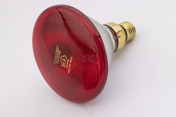 BEC INFRAROSU 100W 22246KER ~