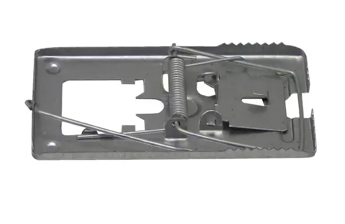 CAPCANA SOARECI 1704182003 ~