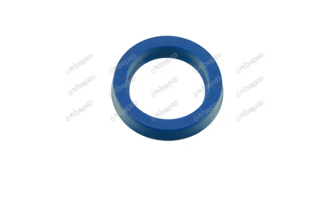 GARNITURA 22X30X5.5 239379.0 CLAAS B124092