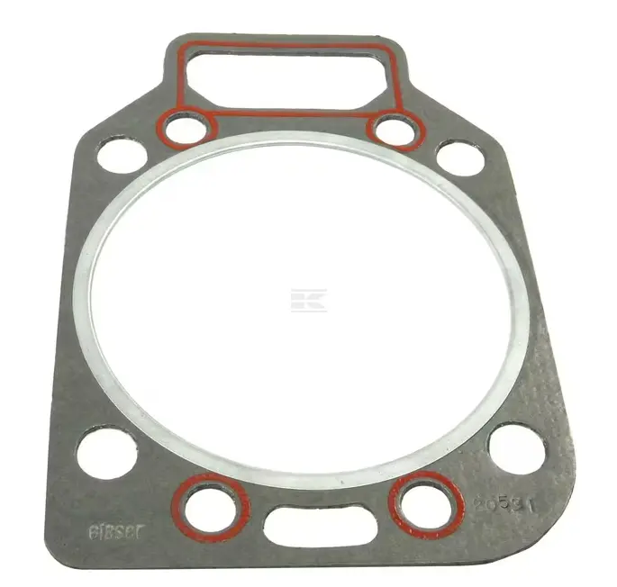 GARNITURA CHIULASA F281202210040 VPA4375 FENDT VAPORMATIC