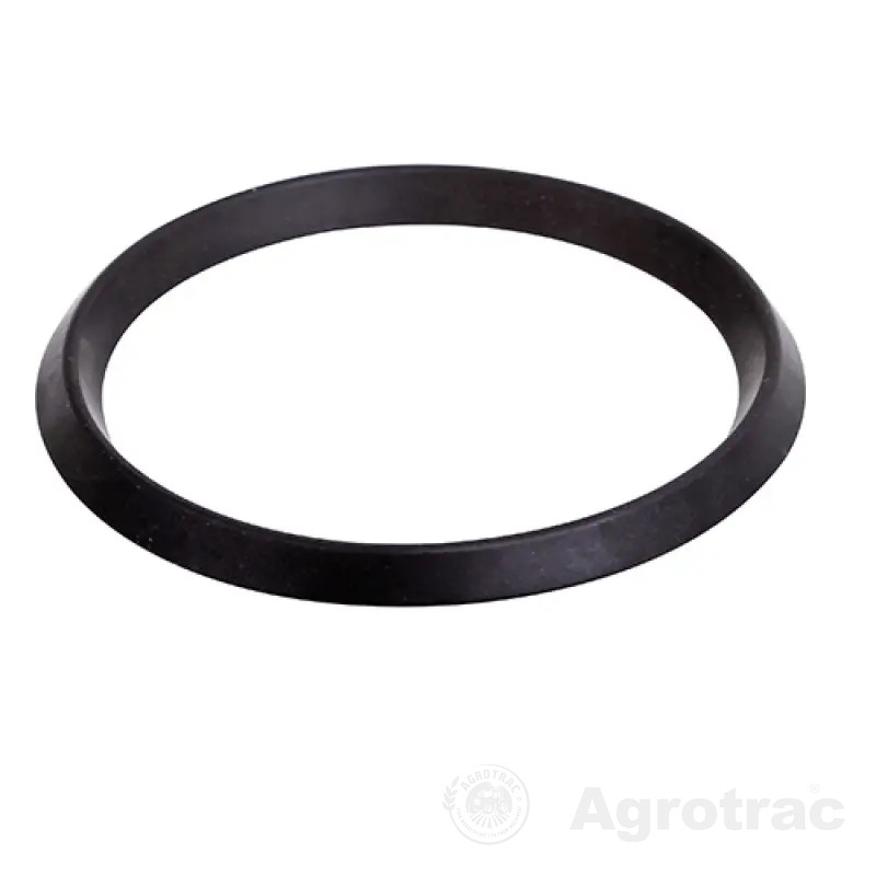 Inel membrana RG00002618 Rau orig