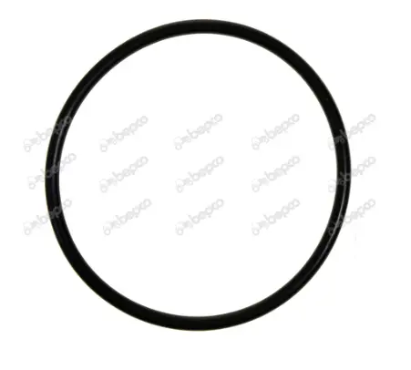 O-RING 100.96X5.33 14472880 70933325 CNH