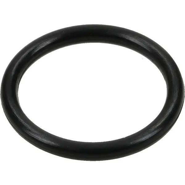 O-RING 13.11X2.62 G10031 ARAG
