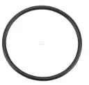 O-RING 2.62X42.52 OR425226290P001