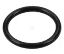 O-RING 2.62X9.2 OR920262P010