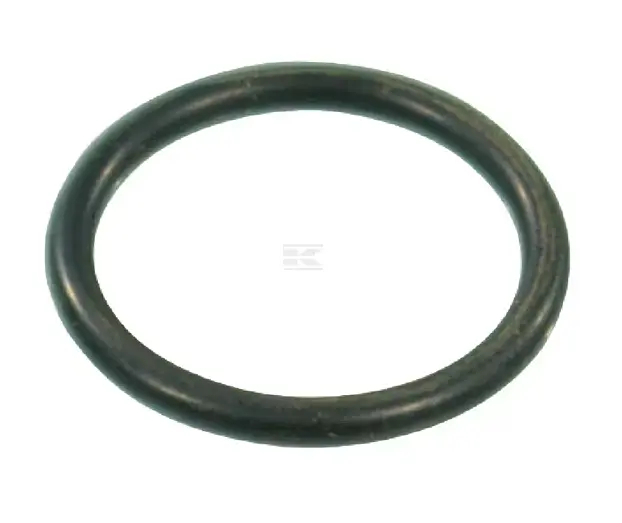 O-RING 20.29X2.62 G10041 ARAG