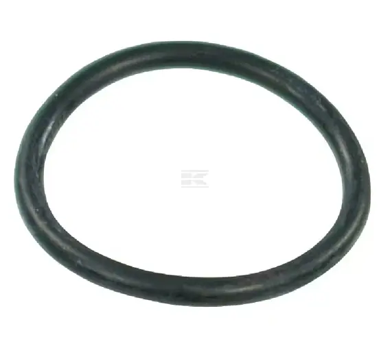 O-RING 29.2X3 G10061 ARAG 