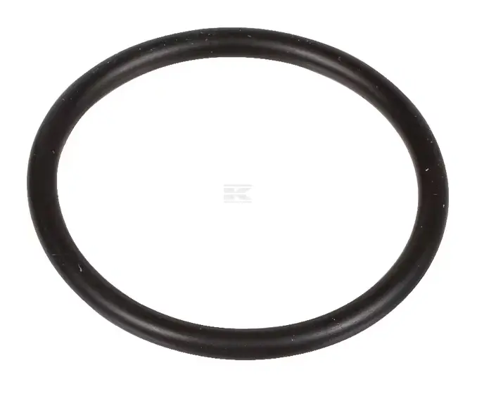 O-RING 29.82X2.62 70 803207002 BERTOLINI