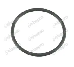 O-RING 30X2 238449.0 CLAAS