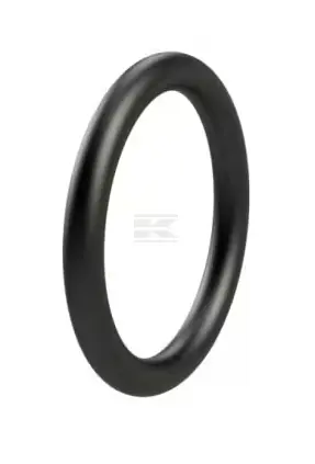 O-RING 3X75 OR753VP001