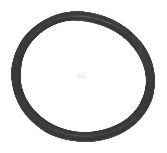 O-RING 6" 14.5X180.5X209.5 6652200Z