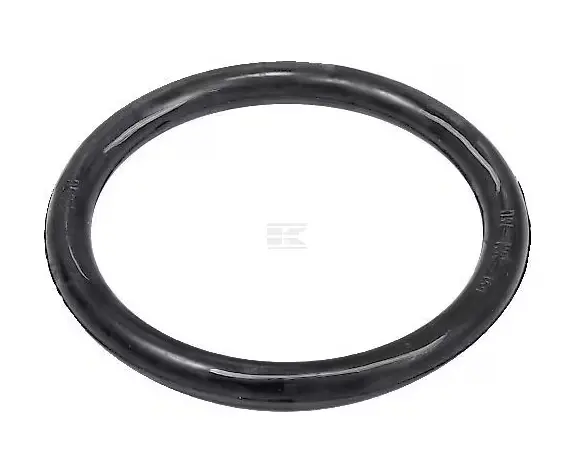 O-RING 8" 25X256X306 8652000Z