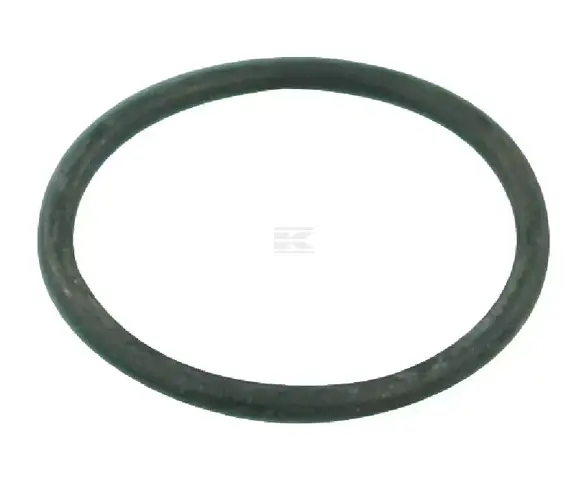 O-RING G10051 26.65X2.62 550040 ARAG