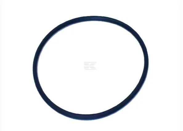 O-RING NWS01528 3220176R1
