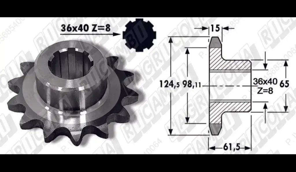 PINION Z14 010425 65.546 FORT CARRARO