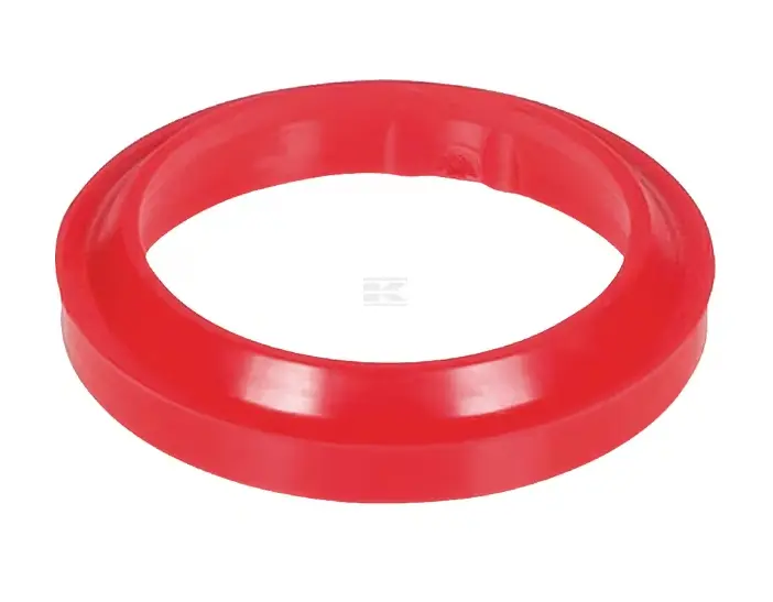 RACLOR 28X36X5 ASU28365T38