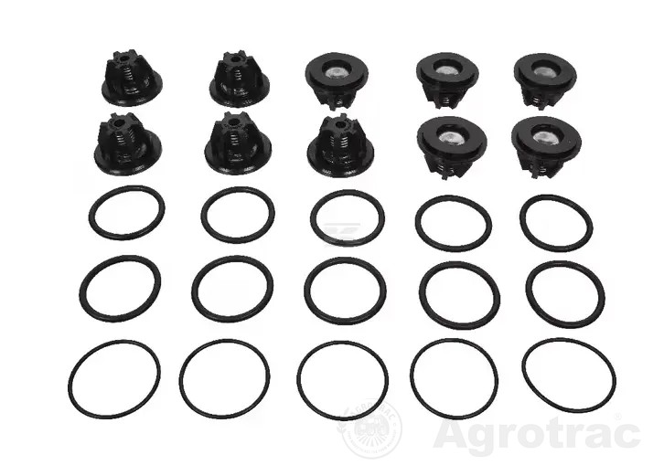 Set supape met 559802973 BERTOLINI