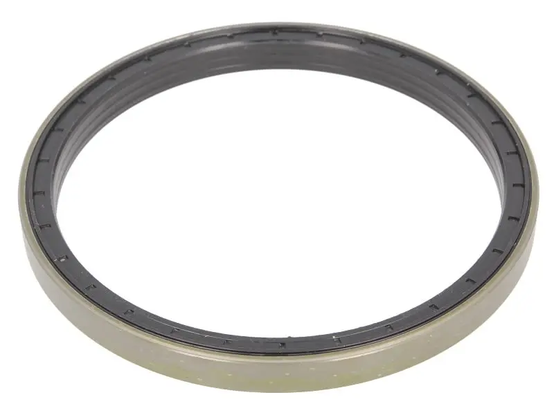 SIMERING 165X190X15.5/17 3426809M1 23/6470-69 12015133B CORTECO