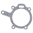 Garnitura pompa apa 3118290R1 pentru Case IH Caterpillar Clark Eicher JCB Landini Manitou Massey Ferguson Perkins
