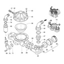 Membrana clopot Annovi Reverberi 650523 original