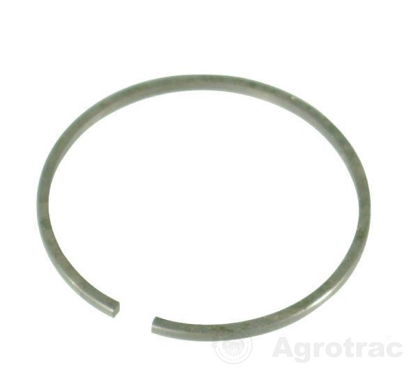 Segment piston 160230AV