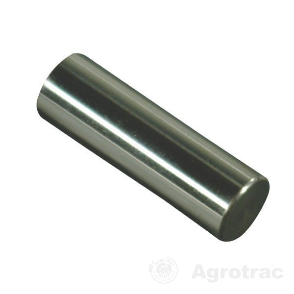 Bolt piston pompa Comet 30110001 original