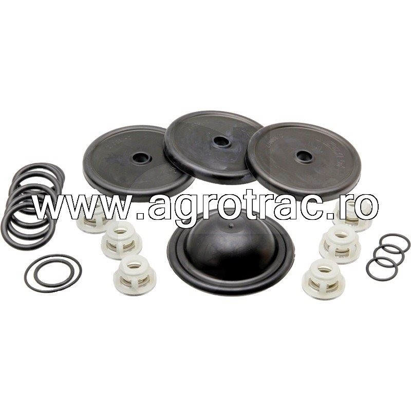 Set reparatie pompa erbicidator Comet 50260326