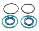 Set etansare cilindru directie CL0030 pentru Claas
