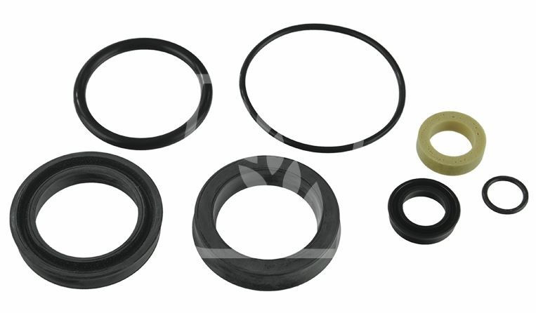 Set etansare cilindru directie CL0011 pentru Claas