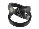 Curea Agrobelt 417441M1
