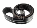 Curea Gates Agri 667453.0