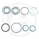 Set etansare Fendt F001990010620 original pentru cilindri de directie